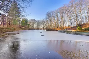 50 Aiken St, Norwalk, CT 06851 - Photo 26