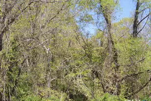 47 47R 63 65R Coleman St, West Haven, CT 06516 - Photo 1