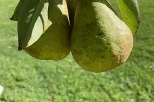 1769 Goshen Rd, Torrington, CT 06790 - Photo 36