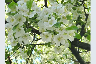 39 Nash Place #A, Norwalk, CT 06854 - Photo 24