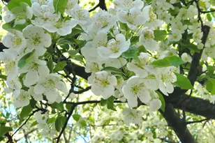 39 Nash Pl, Norwalk, CT 06854 - Photo 24