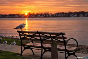 24 Woodward Ave, New Haven, CT 06512 - Photo 1