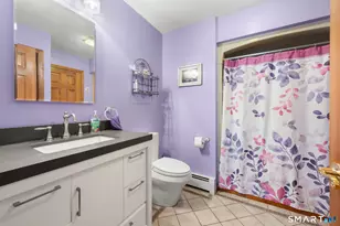 531 Mt Parnassus Rd, East Haddam, CT 06423 - Photo 14