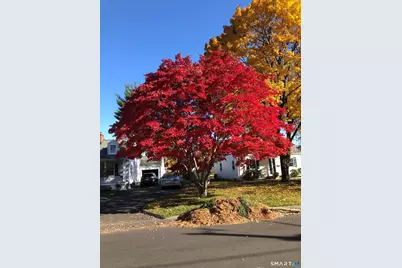 49 Minivale Road, Stamford, CT 06907 - Photo 30