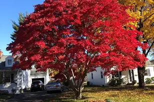 49 Minivale Rd, Stamford, CT 06907 - Photo 30