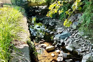 27 Roberts Ave, Watertown, CT 06795 - Photo 28