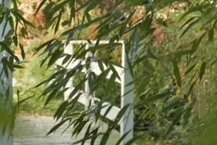 9 Rowland Pl, Westport, CT 06880 - Photo 36