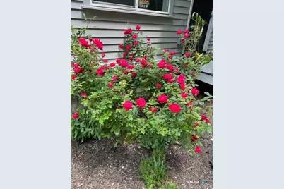 14 Meadow Crest Drive, Woodbury, CT 06798 - Photo 38