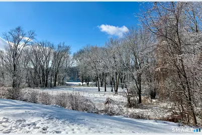 159 Hollister Way North #159, Glastonbury, CT 06033 - Photo 34