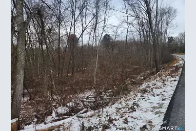 Lyon Hill Road, Woodstock Valley, CT 06281 - Photo 16