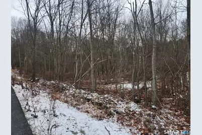 Lyon Hill Road, Woodstock Valley, CT 06281 - Photo 14