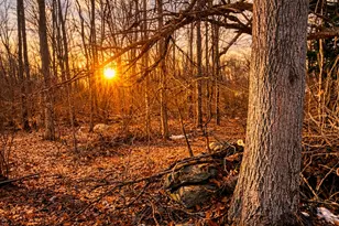 230 Vergason Ave, Norwich, CT 06360 - Photo 1