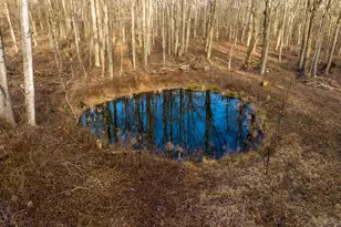 112 Schulman Veselak Rd, East Haddam, CT 06423 - Photo 22