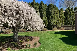 26 Pearsall Pl, Bridgeport, CT 06605 - Photo 30