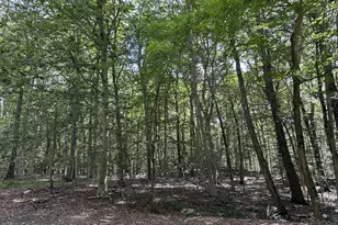 6A South Brook Dr, Stamford, CT 06903 - Photo 16