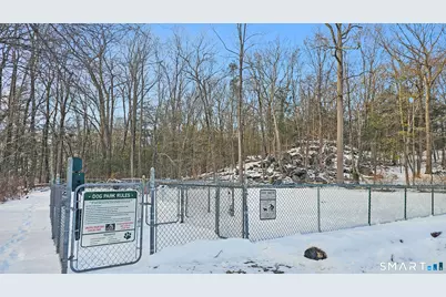 29 Carol Street, Danbury, CT 06810 - Photo 34