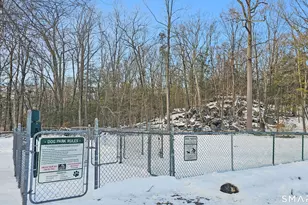 29 Carol St, Danbury, CT 06810 - Photo 34