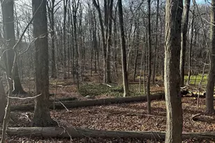 6 Westminster Rd, Danbury, CT 06811 - Photo 1