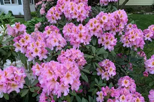 220 Hilltop Cir, Trumbull, CT 06611 - Photo 26