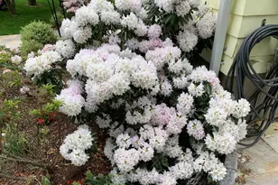 220 Hilltop Cir, Trumbull, CT 06611 - Photo 24