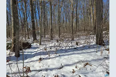 59 Dickinson Road, Marlborough, CT 06447 - Photo 4