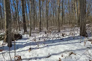 59 Dickinson Rd, Marlborough, CT 06447 - Photo 4