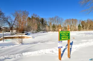 85 Lydall St, Manchester, CT 06042 - Photo 34