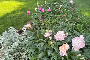 12 Ridgeway Rd, Easton, CT 06612 - Photo 38