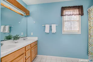 1 Owl Ridge Ln, Newtown, CT 06482 - Photo 22