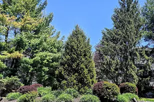 925 Oronoke Rd, Waterbury, CT 06708 - Photo 4