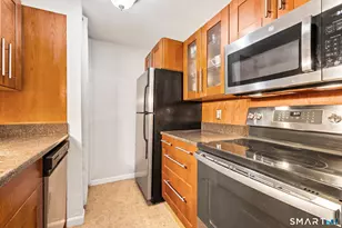 85 Cinnamon Springs, South Windsor, CT 06074 - Photo 14