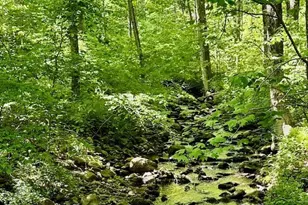 13 Jordan Hill Rd, Newtown, CT 06482 - Photo 1