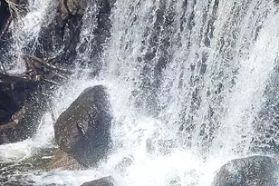 55 Sawmill Rd, Branford, CT 06405 - Photo 6