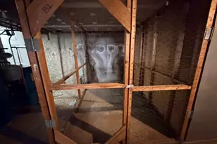 161 West Spring St, West Haven, CT 06516 - Photo 12