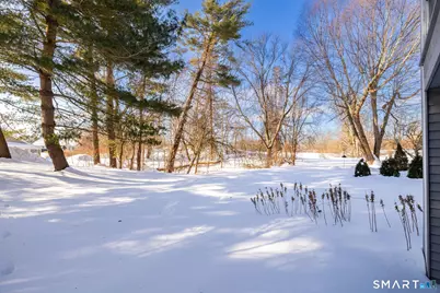 78 Crossroads Lane #78, Glastonbury, CT 06033 - Photo 34