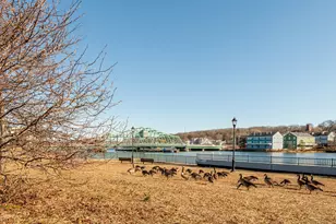 37 E Pearl St, New Haven, CT 06513 - Photo 18