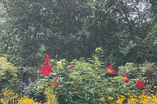 205 E Rocks Rd, Norwalk, CT 06851 - Photo 32