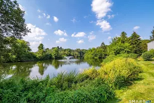 2 Lemon Ln, Ridgefield, CT 06877 - Photo 24