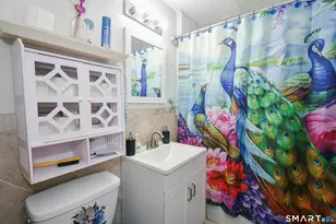 247 Franklin Ave, Hartford, CT 06114 - Photo 20