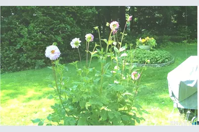 419 Heritage Village #E, Southbury, CT 06488 - Photo 38