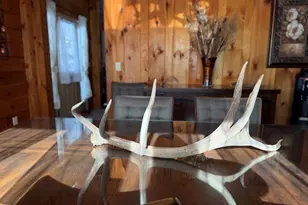 56 Reservoir Rd, Goshen, CT 06756 - Photo 8