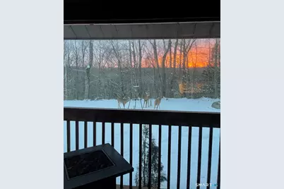 56 Reservoir Road, Goshen, CT 06756 - Photo 38