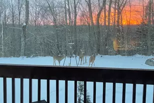 56 Reservoir Rd, Goshen, CT 06756 - Photo 38