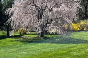 11 Nature Trail, Hamden, CT 06518 - Photo 28