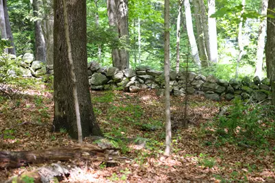 134 Meadow Woods Road, Deep River, CT 06417 - Photo 16