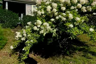 166 East St, Stafford, CT 06076 - Photo 24