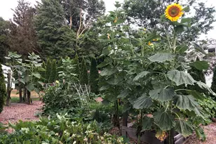 34 Hurd Bridge Rd, Clinton, CT 06413 - Photo 34