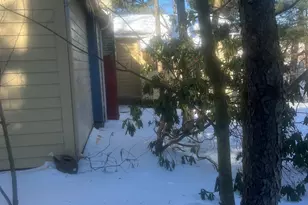 51 Woody Ln, West Haven, CT 06516 - Photo 4