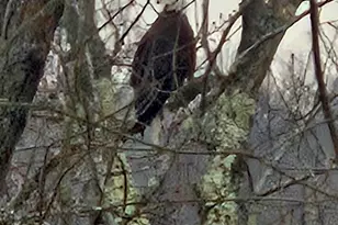 241 S Water St, East Windsor, CT 06088 - Photo 32