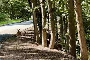 Lot #6 South Brook Dr, Stamford, CT 06904 - Photo 10